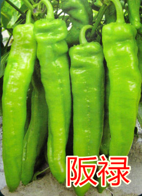 ൓c鿴ԔϢ
