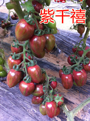 ǧc鿴Ԕ(x)Ϣ
