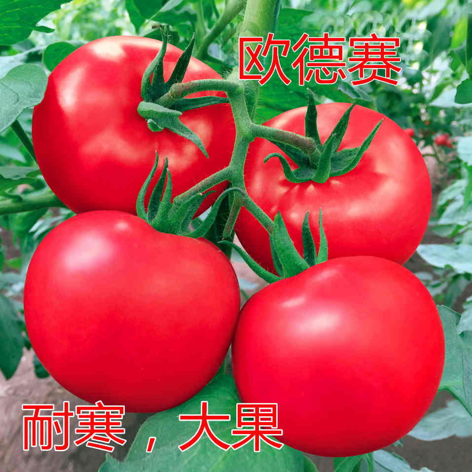 Wِ۹(bio)Uc鿴Ԕ(x)Ϣ