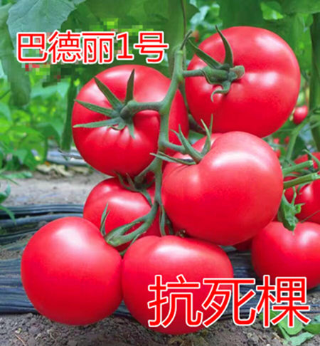 ͵1̖c鿴Ԕ(x)Ϣ