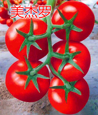 _c鿴ԔϢ