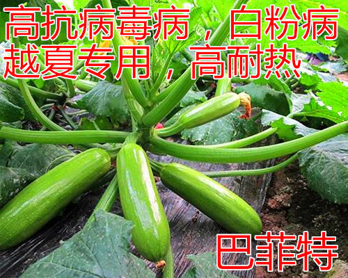 ͷc(din)鿴Ԕ(x)Ϣ