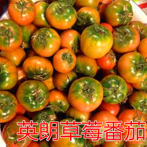 Ӣʲݮc鿴Ԕ(x)Ϣ