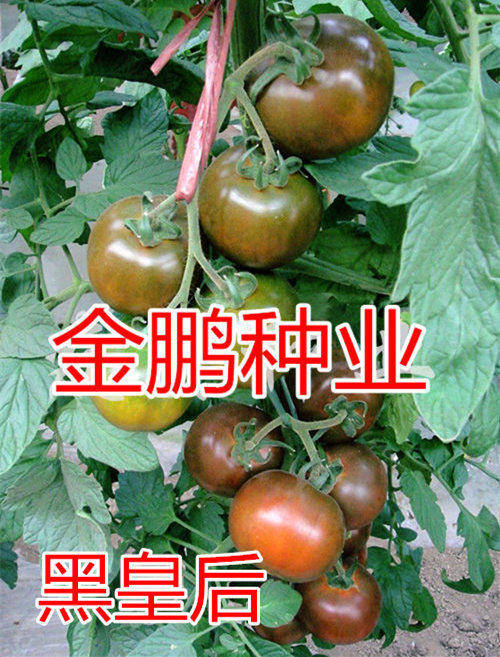 ڻʺc鿴Ԕ(x)Ϣ