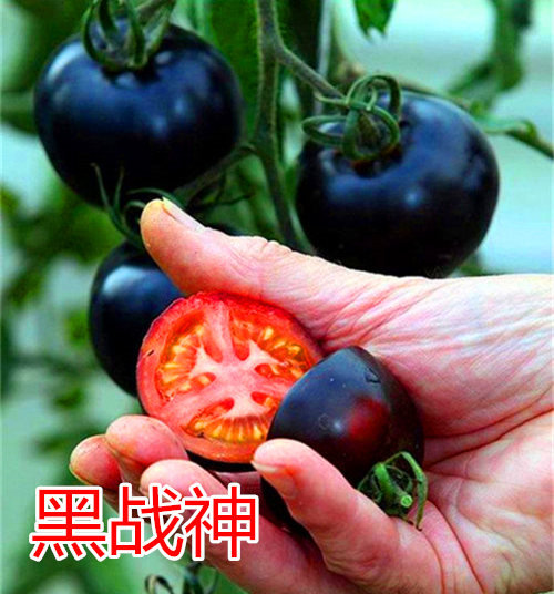 ڑ(zhn)c鿴Ԕ(x)Ϣ