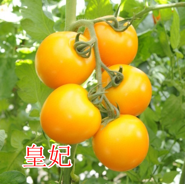 c鿴Ԕ(x)Ϣ